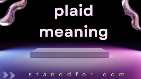 plaid meaning