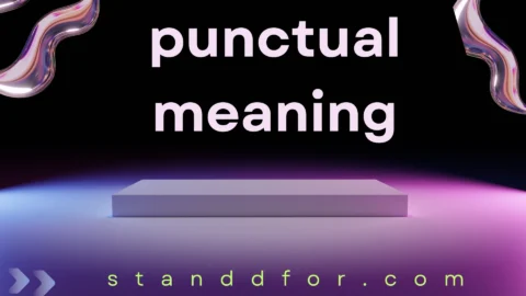 punctual meaning
