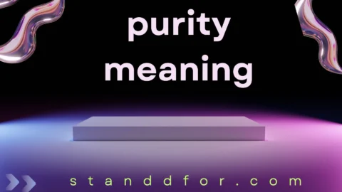 purity meaning