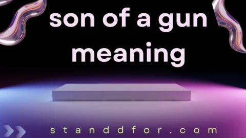 son of a gun meaning