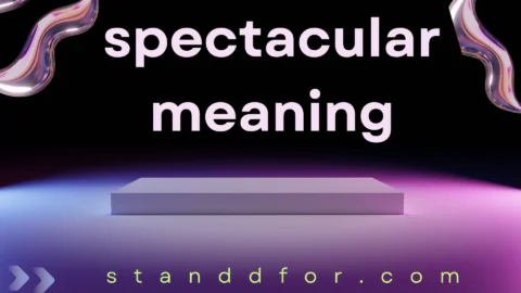 spectacular meaning