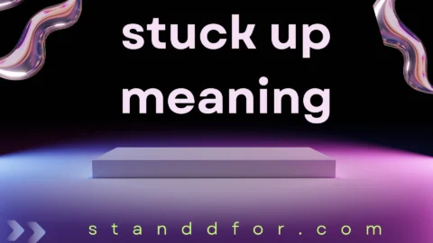 stuck up meaning