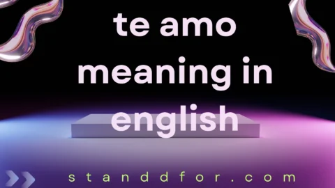 te amo meaning in english