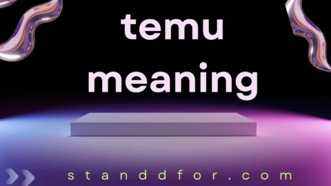 temu meaning