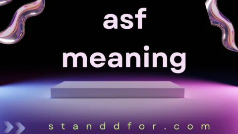 asf meaning