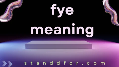 fye meaning