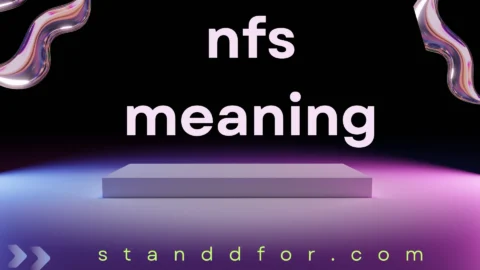 nfs meaning