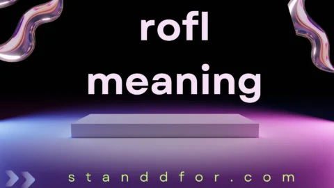 rofl meaning