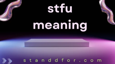 stfu meaning