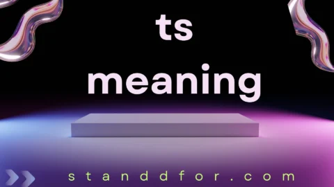 ts meaning
