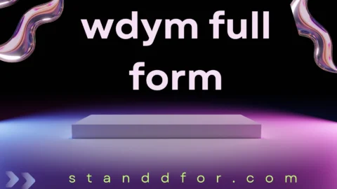 wdym full form