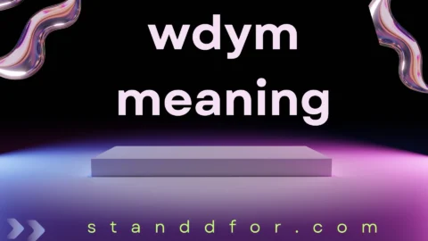 wdym meaning