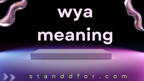 wya meaning