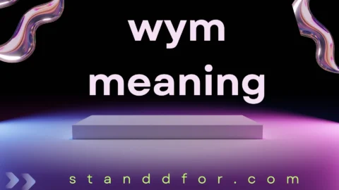 wym meaning