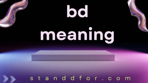 bd meaning