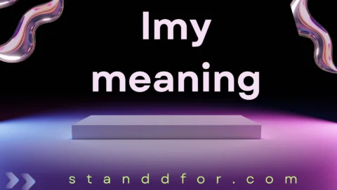 lmy meaning