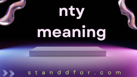 nty meaning