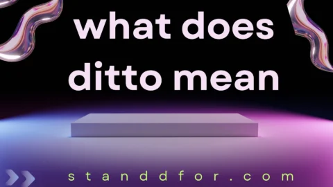 what does ditto mean