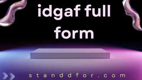 idgaf full form