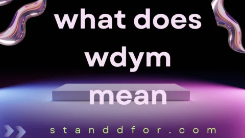 what does wdym mean