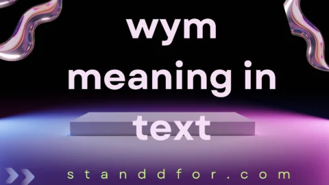 wym meaning in text